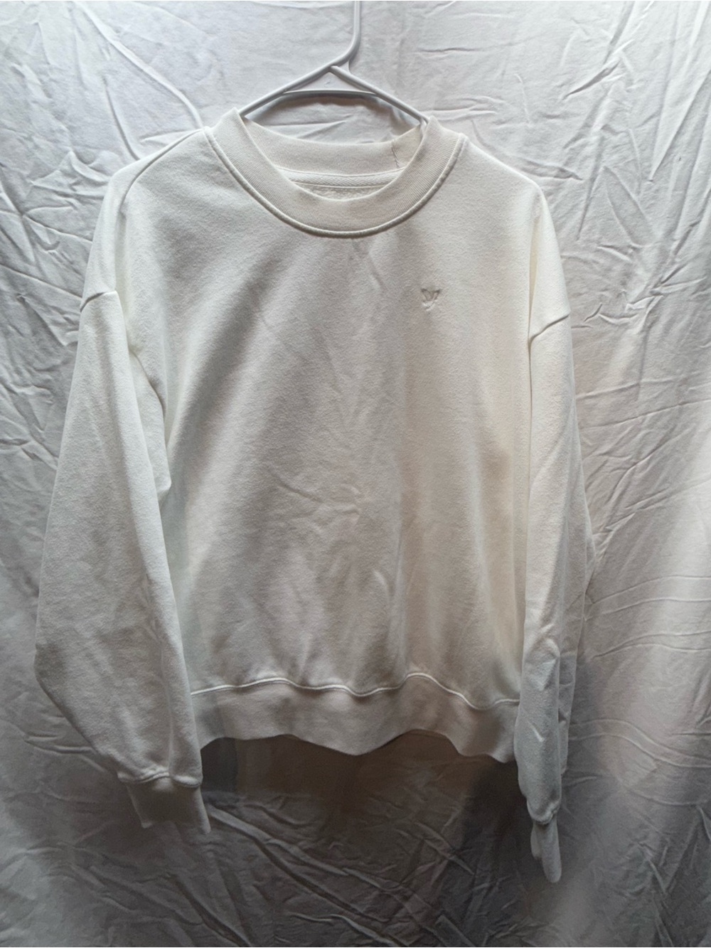 American Eagle Outfitters White Crewneck Sweatshirt
